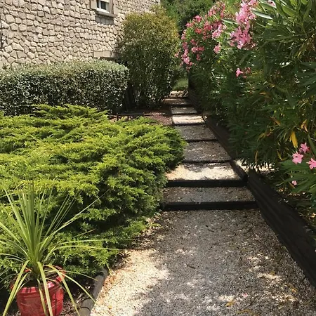 Du Vieux Chene Salavas